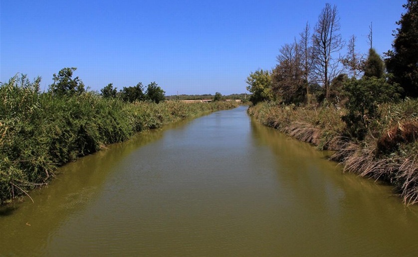 נחל אלכסנדר. צילום: יעקב שקולניק, ארכיון הצילומים של קקל