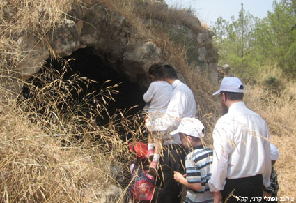 צילום: נפתלי קרני, קק"ל