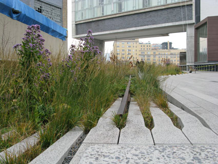 High Line Public Park Project, New York
