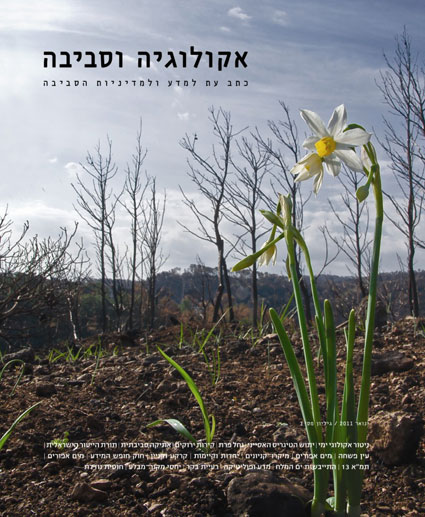 צילום: תמר טנצר
