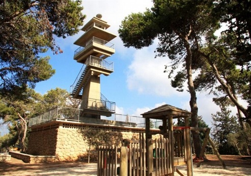 דרך נוף יער חוף הכרמל