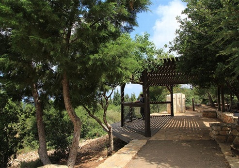 טיול בפארק אדמית