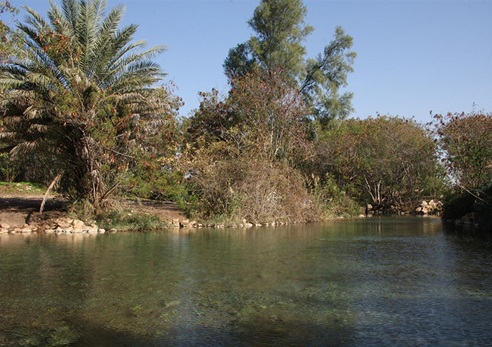 פארק המעיינות