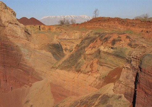 טיול ליער אודם