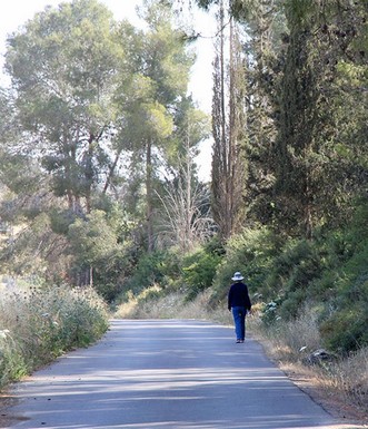 טיול בפארק. צילום: יעקב שקולניק