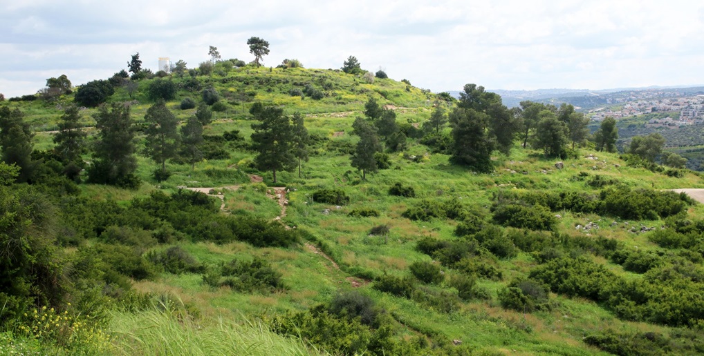 חורבת זכור - מראה כללי. צילום: יעקב שקולניק, ארכיון הצילומים של קקל