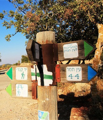 שלט הכוונה. צילום: יעקב שקולניק