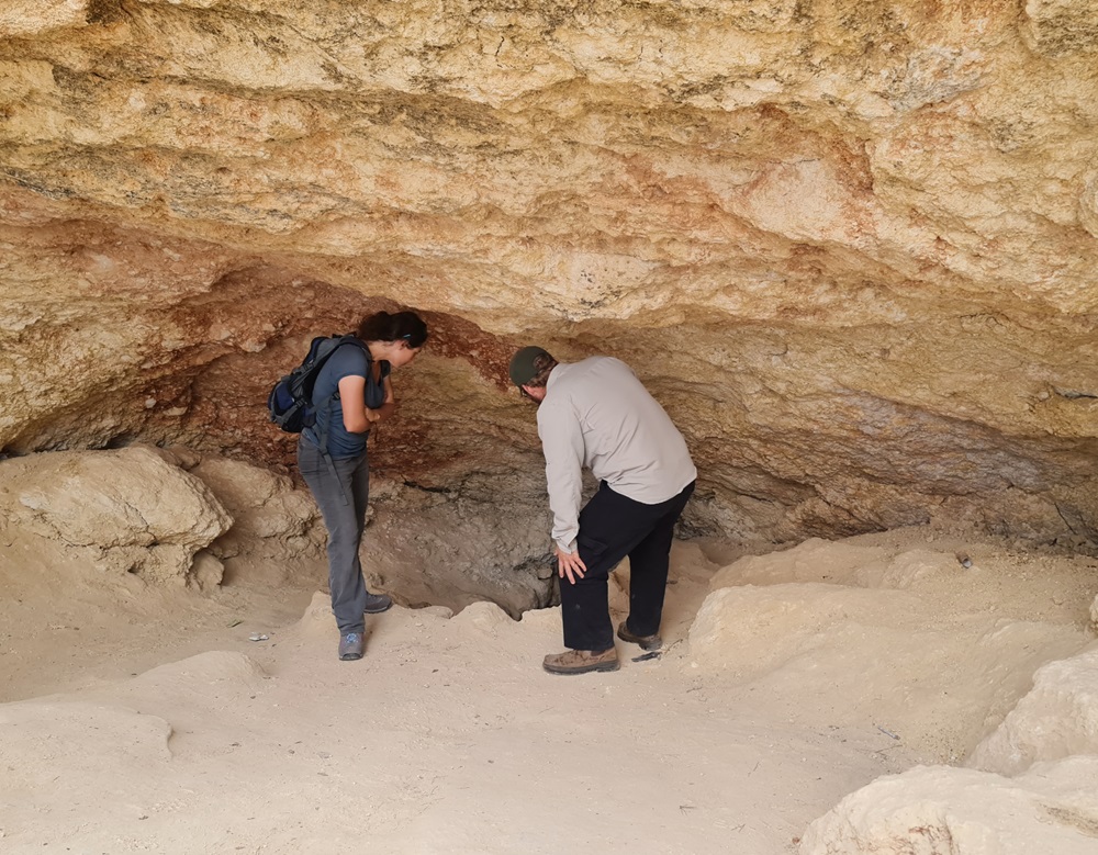מנופי השביל. צילום: בלה נודלמן, קק"ל