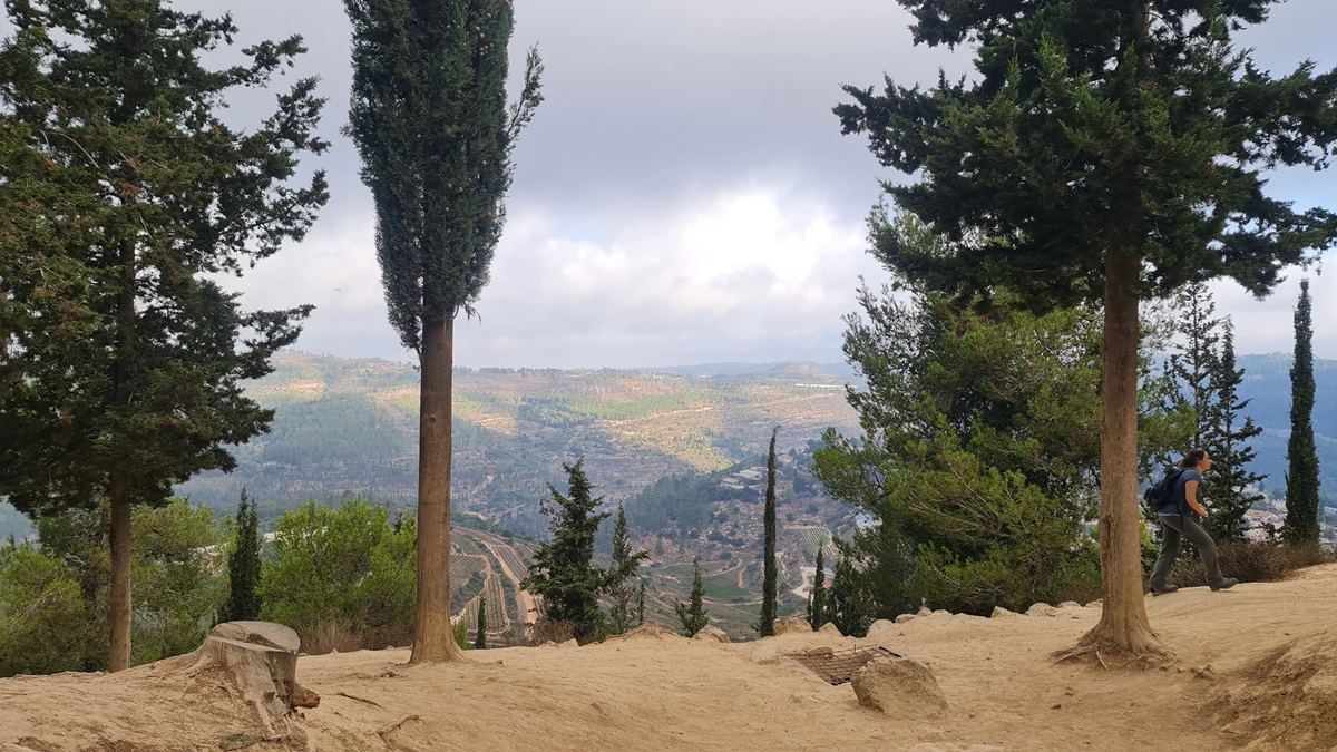 מנופי השביל. צילום: בלה נודלמן, קק"ל