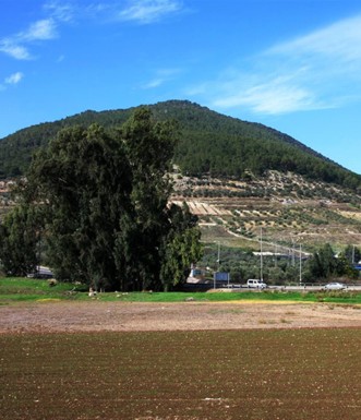 הר תבור. מראה כללי. צילום: יעקב שקולניק