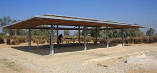 רצפת הפסיפס בבית הכנסת במעון מוגנת בסככה. צילום: יעקב שקולניק