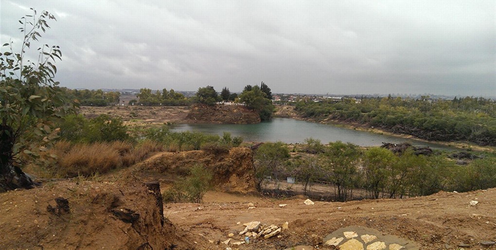 מסלול טיול לחורשת עזריקם. צילום: יפתח סהר