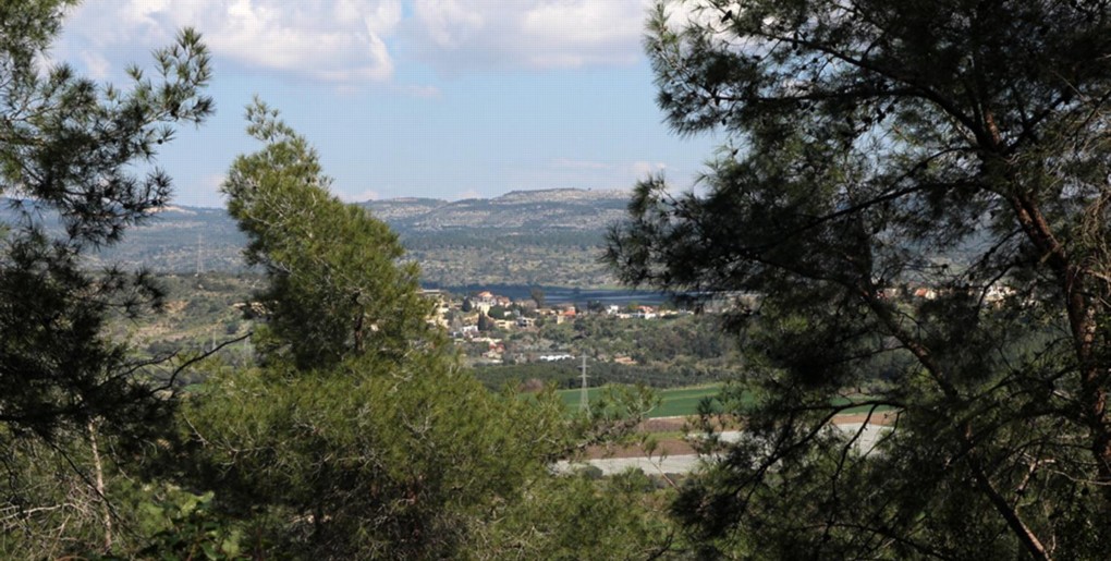 מסלול טיול בשביל נעם שביער חוף הכרמל. צילום: יעקב שקולניק