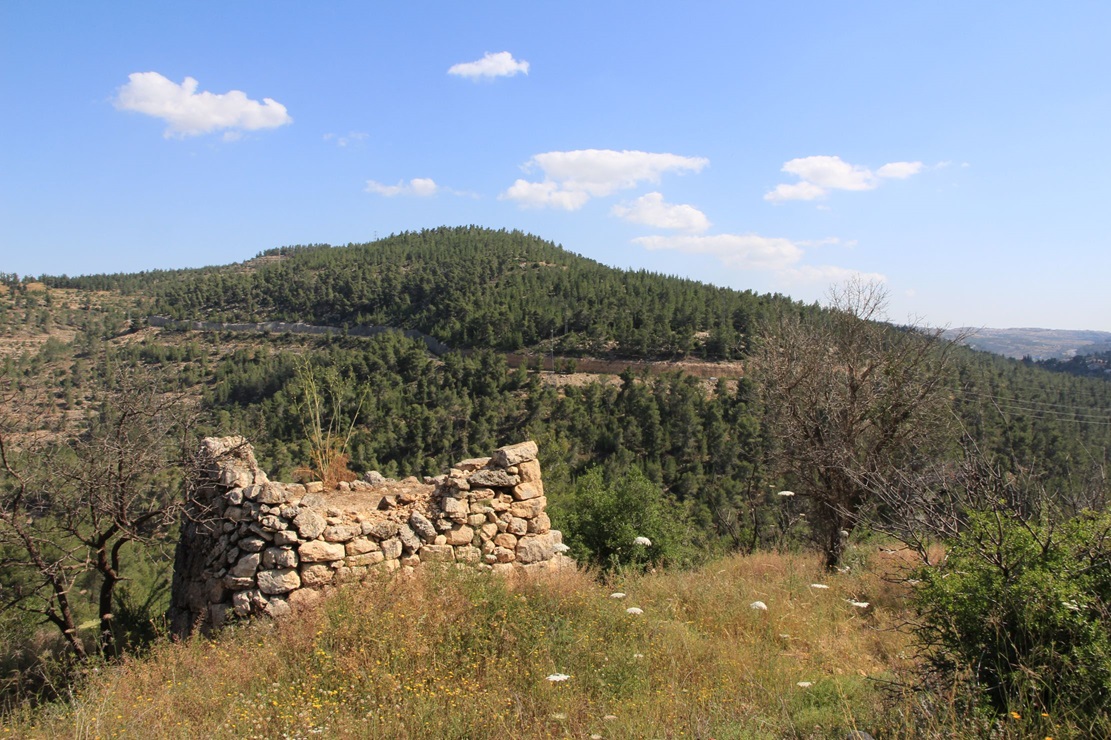 שומרה על רקע הר חרת. צילום: יעקב שקולניק