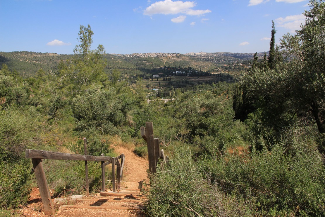מדרגות במסלול. צילום: יעקב שקולניק