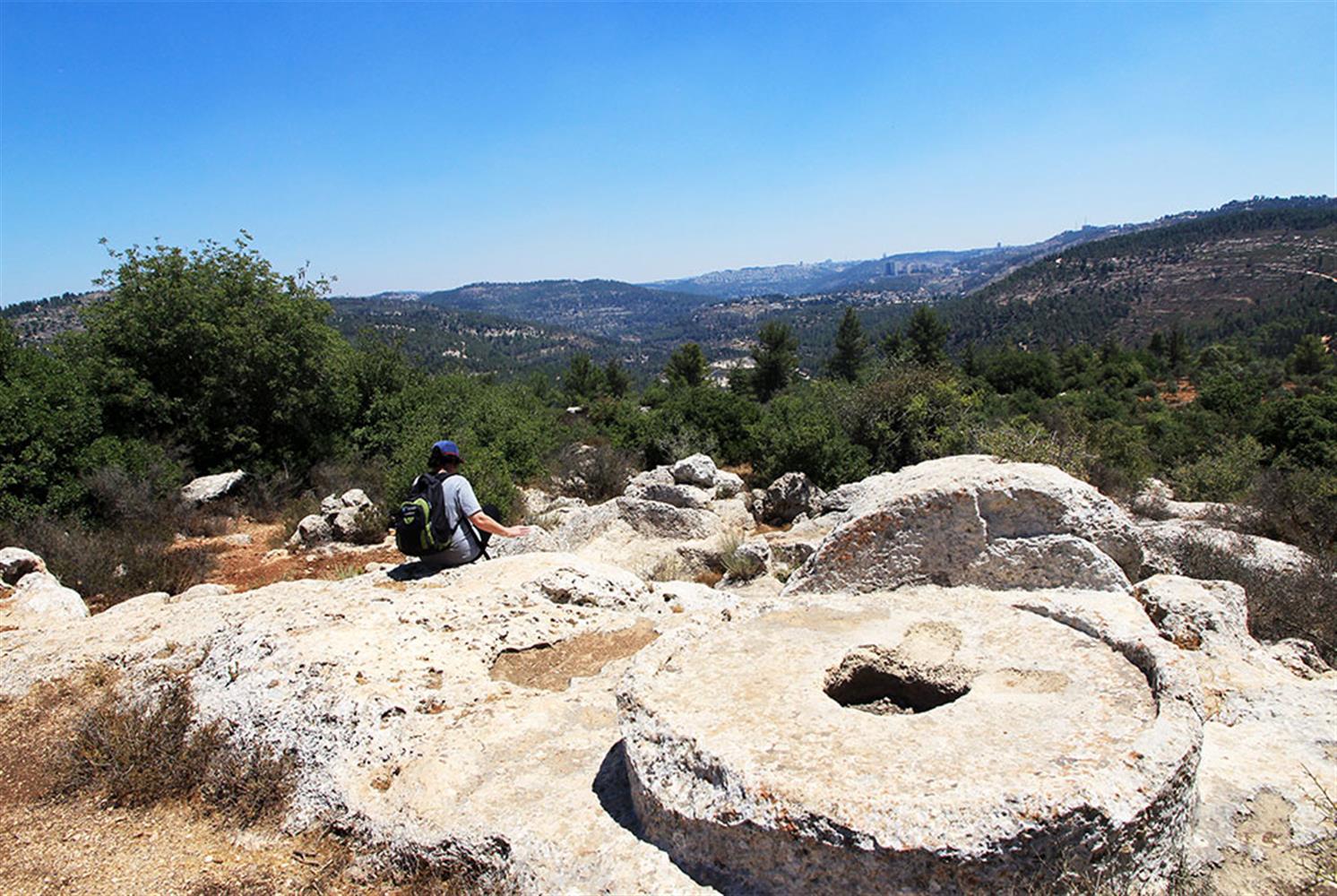 בית בד בחוות הגתות. צילום: יעקב שקולניק