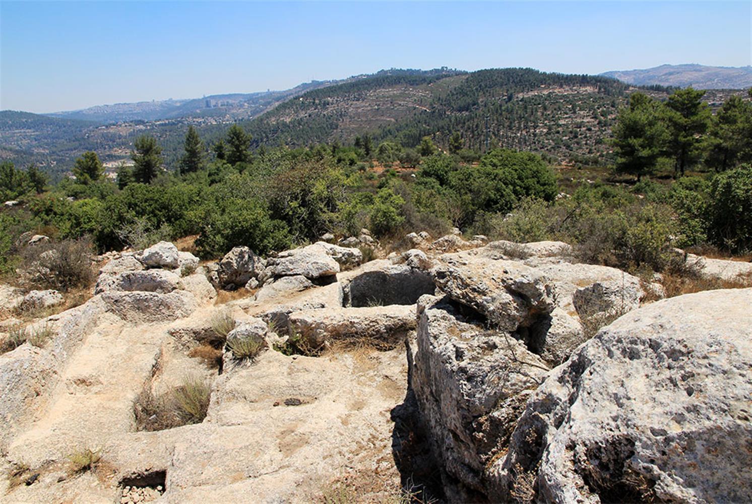 גת חצובה בחוות הגיתות. צילום: יעקב שקולניק