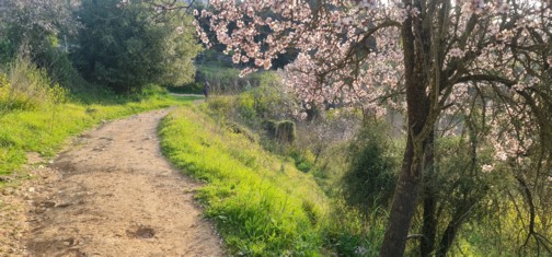 צילום: בלה נודלמן