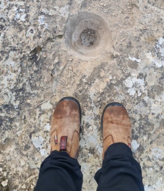 צילום: בלה נודלמן