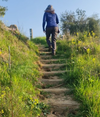 צילום: בלה נודלמן
