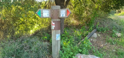 צילום: בלה נודלמן