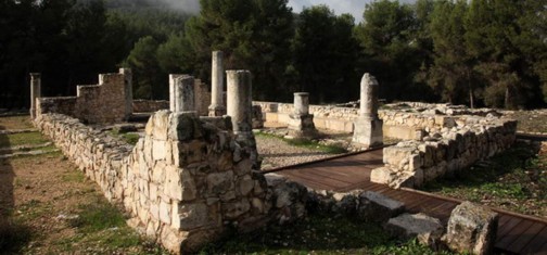 נבוריה. צילום: אבי הירשפילד, ארכיון הצילומים קק''ל