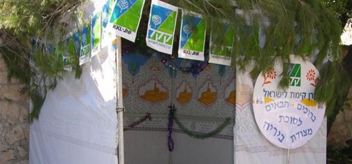 צילום: ארכיון הצילומים קק"ל