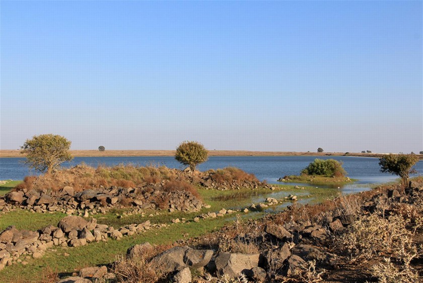 מאגר דליות. צילום: יעקב שקולניק