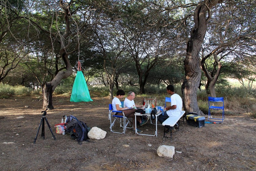 תחנת הטיבוע. צילום: יעקב שקולניק