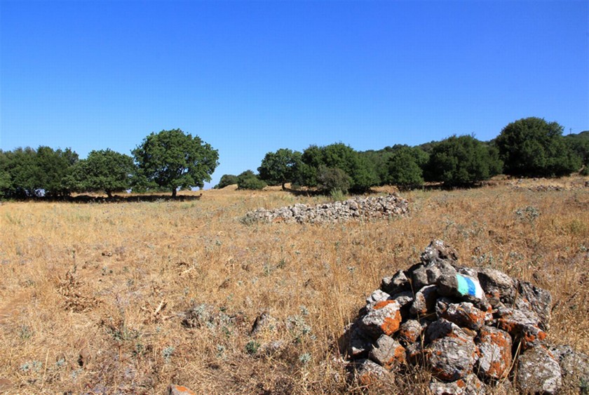גלי אבנים. צילום: יעקב שקולניק