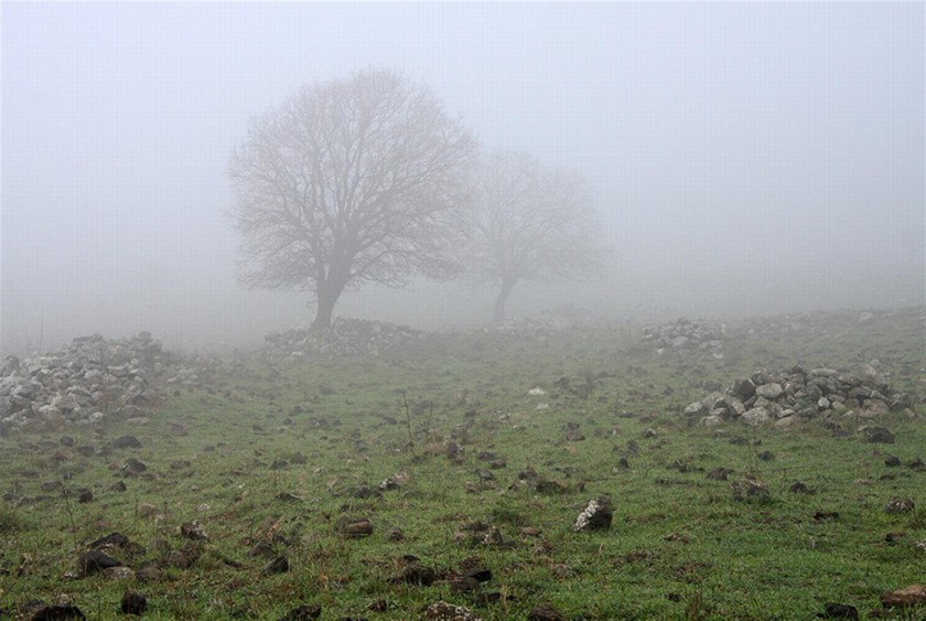 השביל בערפל. צילום: יעקב שקולניק
