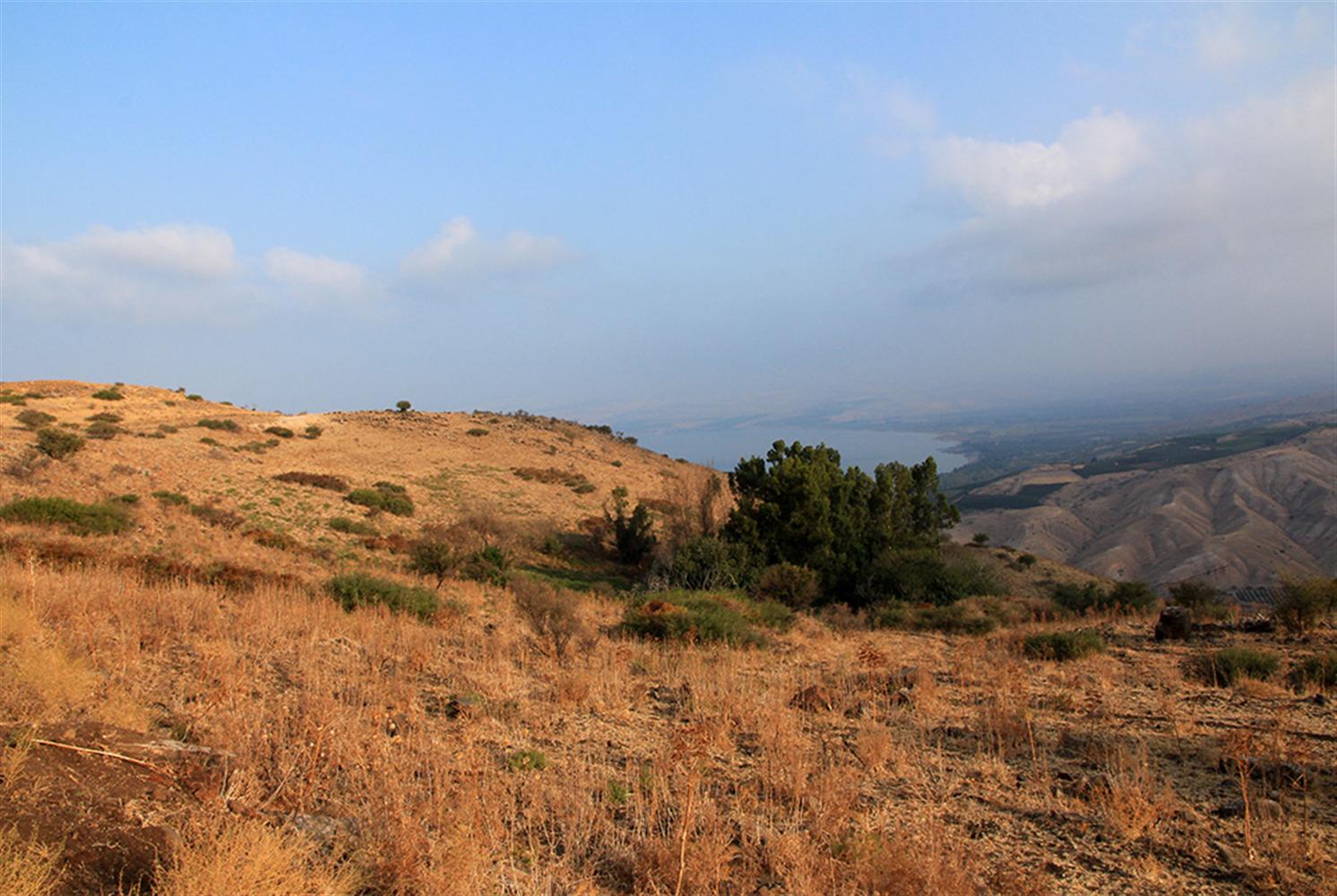 עין עויניש והכנרת במבט מהשביל. צילום: יעקב שקולניק