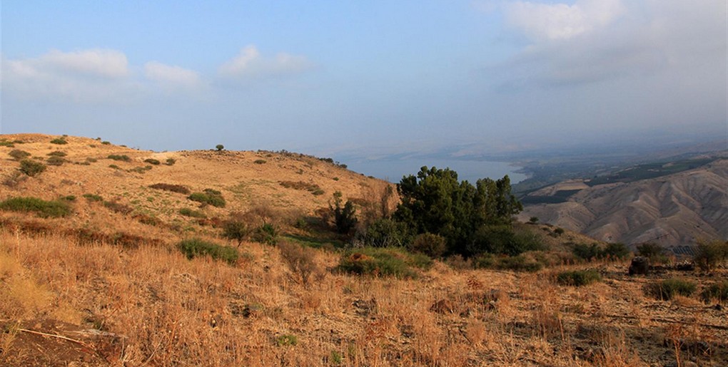 מסלול טיול בשביל הגולן: מגבעת יואב לנחל תאנה