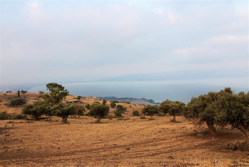 ערפילי בוקר בשביל הגולן. צילום: יעקב שקולניק