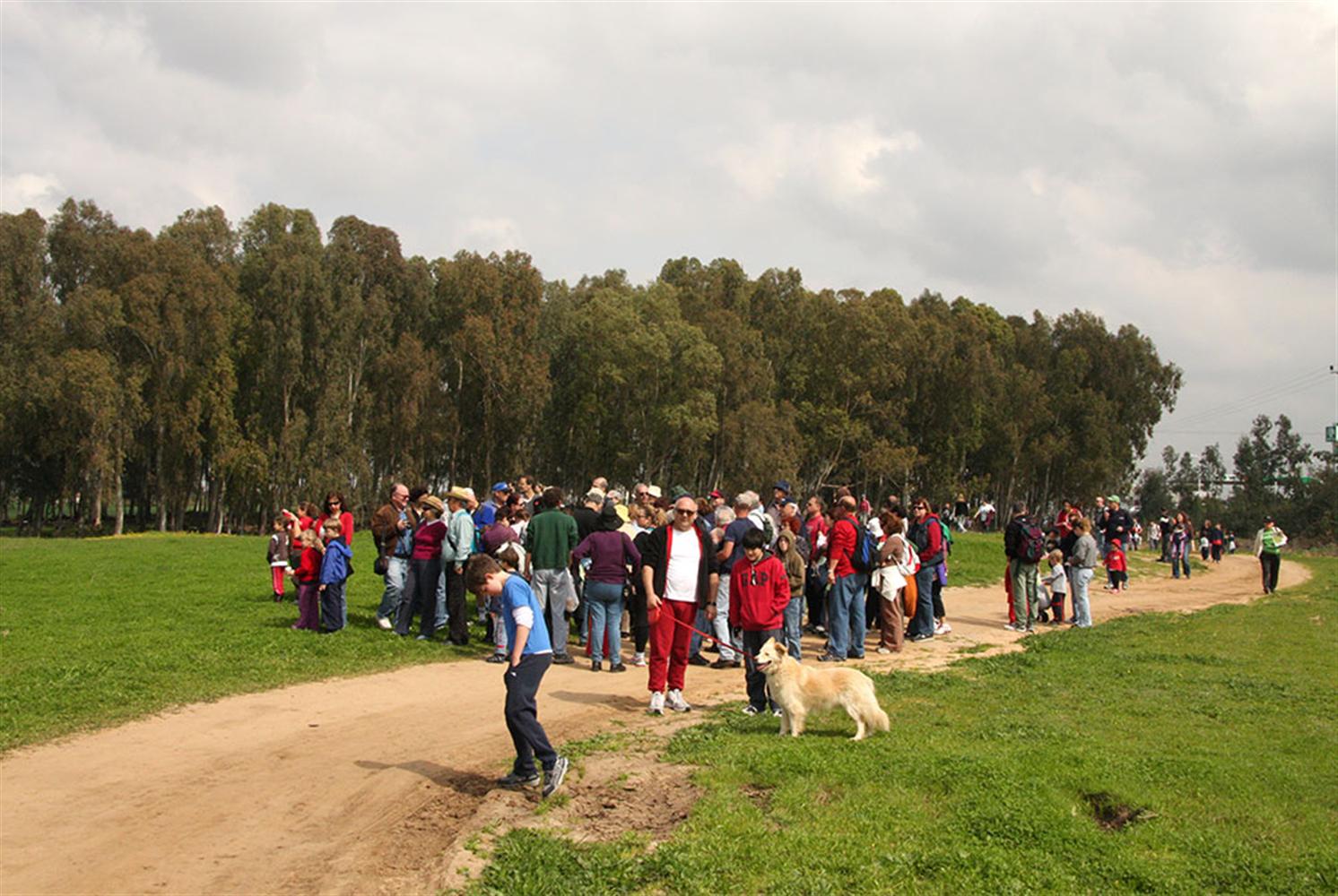 מטיילים ביער. צילום: יעקב שקולניק