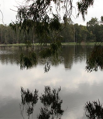 בריכת יער. צילום: יעקב שקולניק