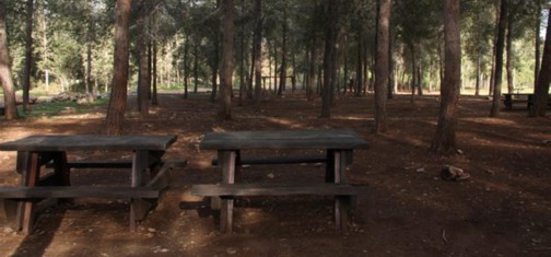 חניון סיירת מטכ"'ל. צילום: יעקב שקולניק