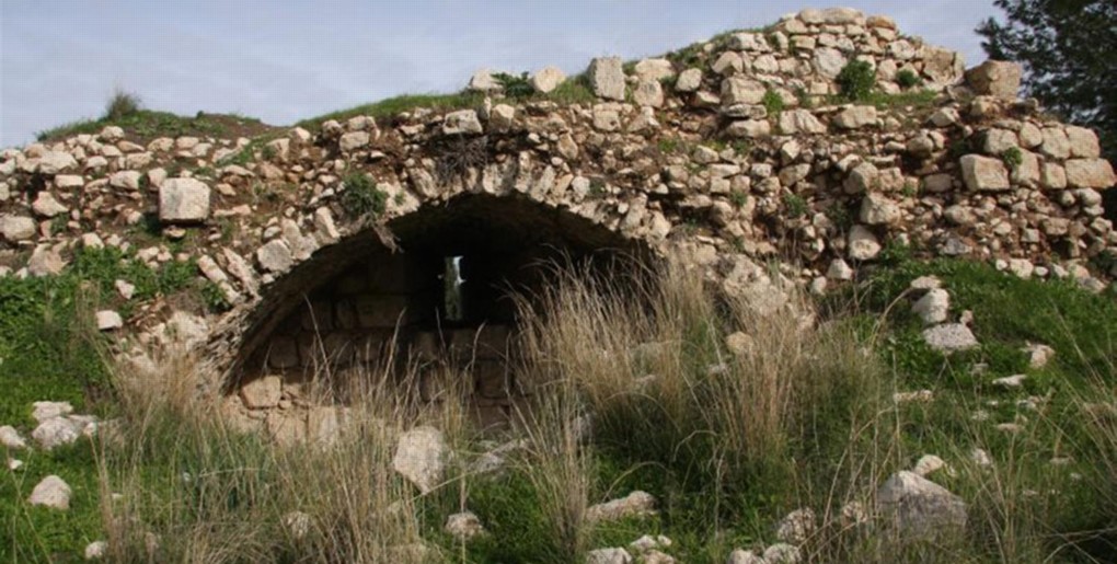 מסלול טיול ליער אלעד. צילום: יעקב שקולניק