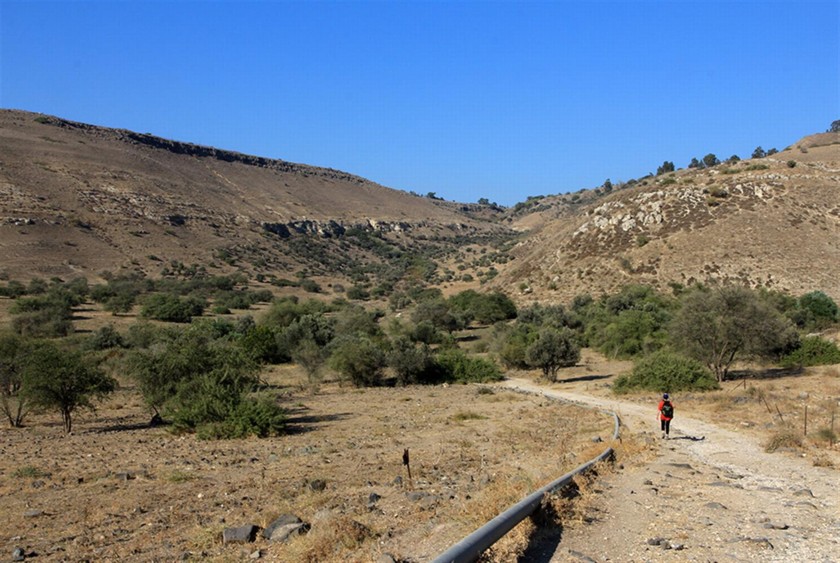 נחל עין גב - מראה כללי. צילום: יעקב שקולניק