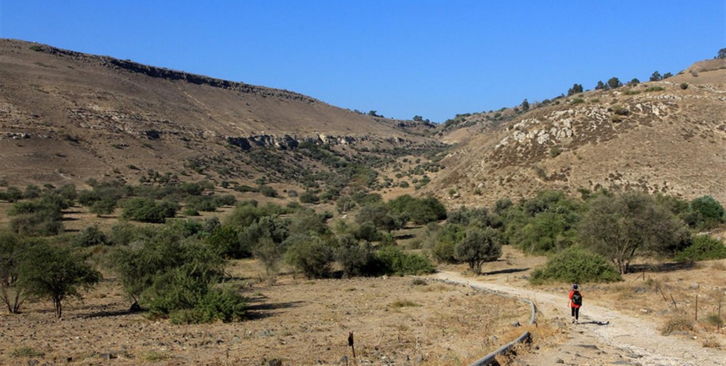 מסלול שביל הגולן: מחניון אמפי גולן לחניון גבעת יואב