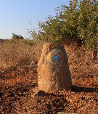 שביל האופניים צופה כנרת משתלב בחלק מן המסלול. צילום: יעקב שקולניק