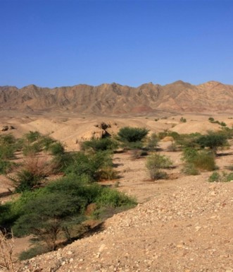 מבט מנקודת התצפית על פארק הולנד. צילום: יעקב שקולניק