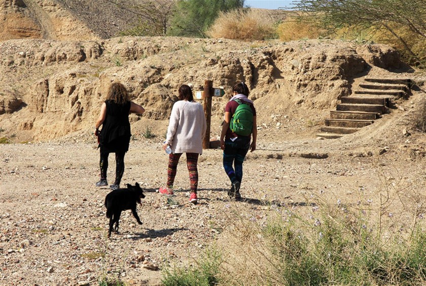 מטיילים בפארק הולנד. צילום: יעקב שקולניק