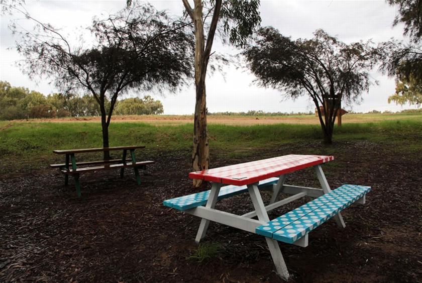 השולחן הצבעוני ביער. צילום: יעקב שקולניק