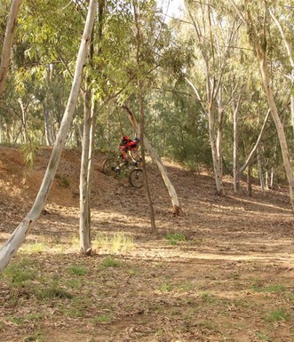 רוכבים בשוקדה על רקע הנוף. צילום: איציק לוגסי