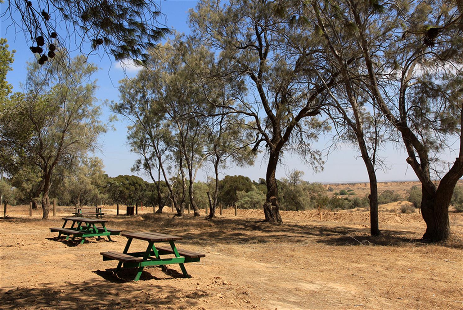 חניון יעקב הררי. צילום: יעקב שקולניק