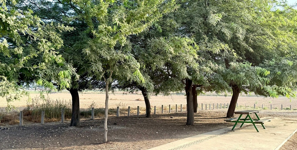 טיול לבארות יצחק הישנה. צילום: בוני שיינמן, קק"ל