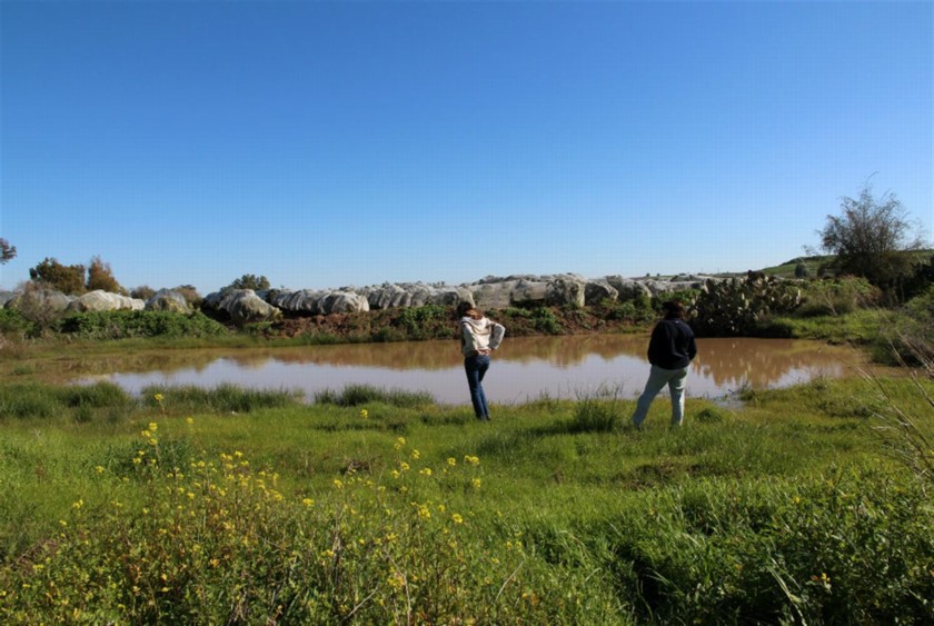 שלולית החורף לאחר השיקום. צילום: יעקב שקולניק