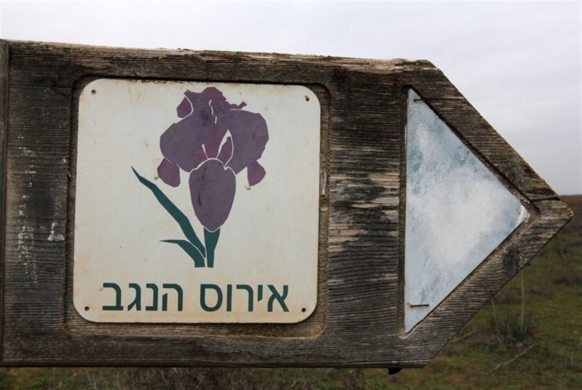 שלט אירוס הנגב. צילום: יעקב שקולניק