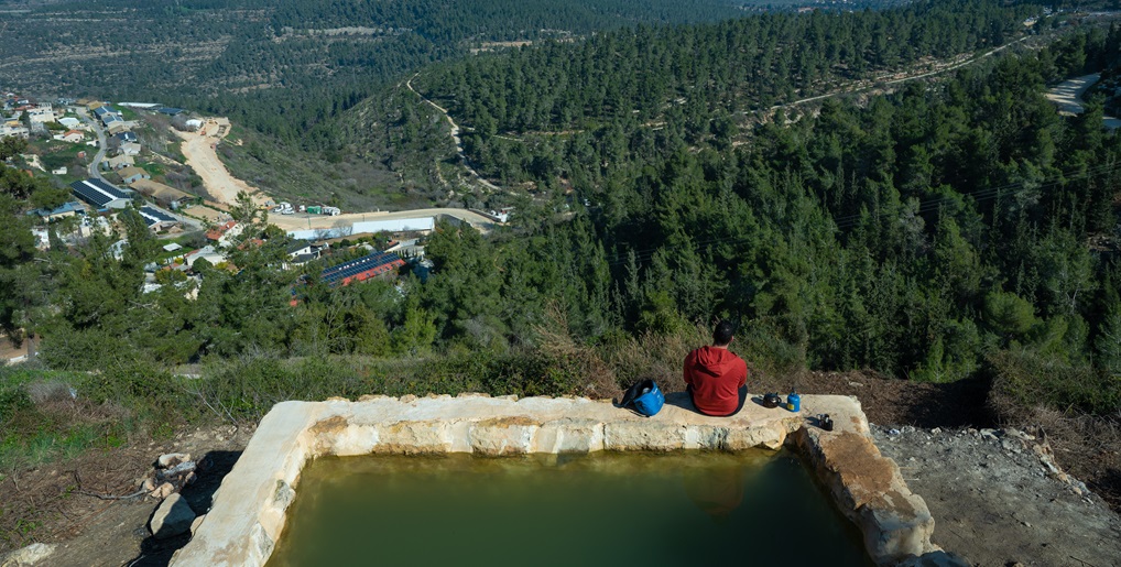 יער עמינדב. צילום: אילן שחם, ארכיון הצילומים של קקל